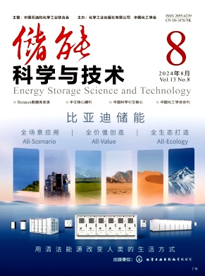 储能科学与技术封面